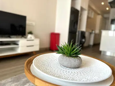 a potted plant sitting on a table in a living room at Stay at Regency Luxe One in Pretoria