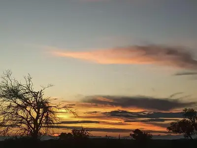 a sunset with a tree in the foreground at Mazuri Shamba Lodge in Phalaborwa