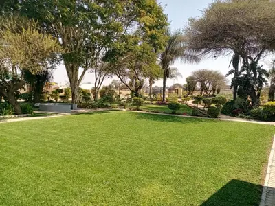 a large lawn with trees in the background at M and E Lodge in Enkelbosch