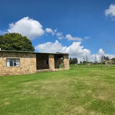 Treeferns Trout Lodge