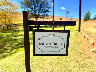 a sign that says brown trout coffee on a pole at Treeferns Trout Lodge in Dullstroom