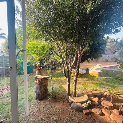 a tree sitting next to a pile of rocks at MBT Lodge in Polokwane