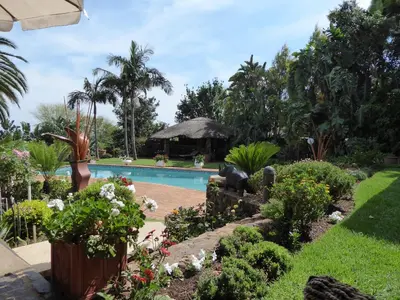 a garden with a swimming pool and plants at Viva-Africa in Pretoria