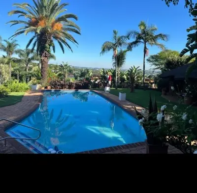 a large swimming pool with palm trees in the background at Viva-Africa in Pretoria