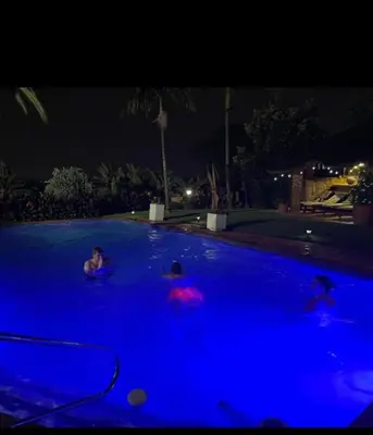 a group of people swimming in a pool at night at Viva-Africa in Pretoria