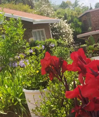 a garden of flowers in front of a house at Viva-Africa in Pretoria