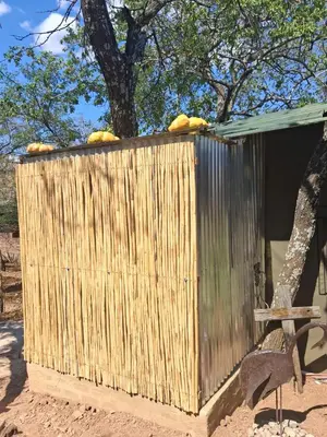 a wooden building with bananas on top of it at Pumba's Den Kranspoort in Winterkamp