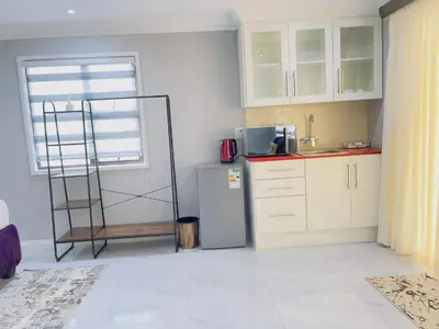 a kitchen with a refrigerator and a ladder in it at The Airport Terminal Guesthouse in Kempton Park