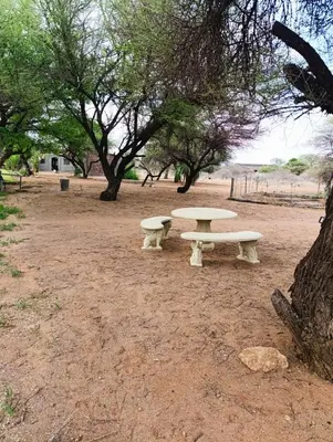 two picnic tables in a park under a tree at Lapa Moyo Safari's in Linton