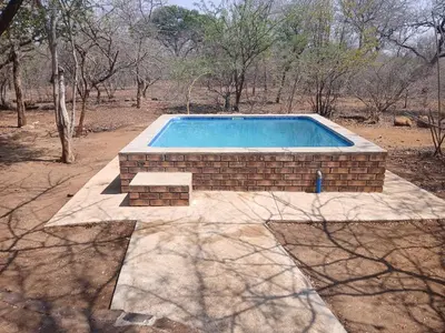 an empty swimming pool in a brick at Maridadi House in Marloth Park