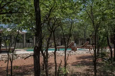 a playground in a yard with trees at Mad Safari Bush Camp in Phalaborwa