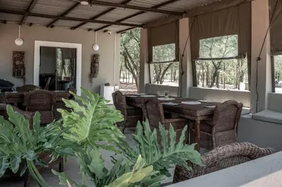 a dining room with tables and chairs and plants at Mad Safari Bush Camp in Phalaborwa