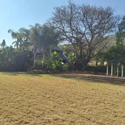 Mount Festiva Lodge