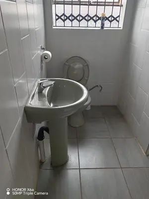 a bathroom with a sink and a toilet at House 224 Lodge in Driekop