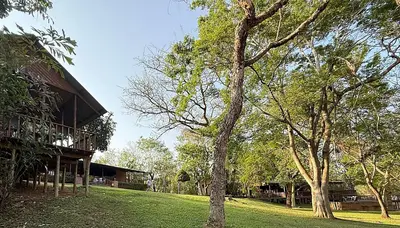 a tree in the grass next to a building at Leopard Chalets Hippo Waterfront Lodge in Nelspruit