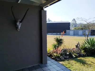 a head of a antelope hanging on the side of a wall at Aloe Thorn Self Catering in White River