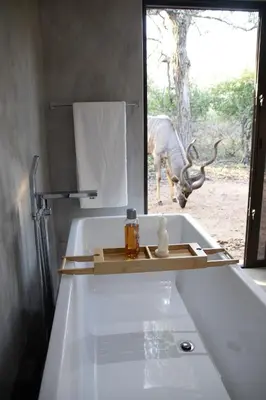 a bathroom with a tub with a bull in the window at Ratel Katel in Marloth Park