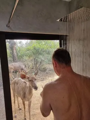 a man looking out of a window at a deer at Ratel Katel in Marloth Park