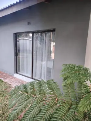 a large green plant in front of a window at F'leur Guesthouse in Mokopane