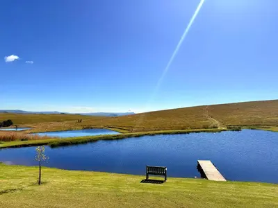 a bench sitting next to a lake with a bridge at Treeferns Trout Lodge in Dullstroom