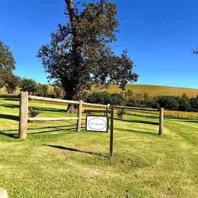 Treeferns Trout Lodge