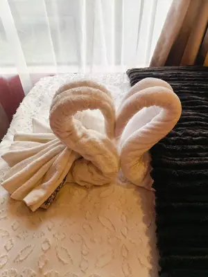 a cake with two towels in the shape of swans at Express at Urban Cove in Nelspruit