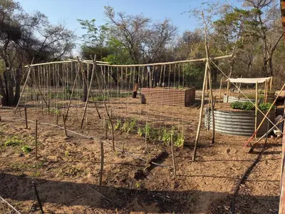 a garden with a net and some plants at LoWes Africa in Vaalwater