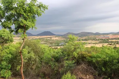 a view of the mountains from the forest at Oppiberg Cottage with River View in Hartbeespoort