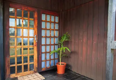 a plant in a pot next to a wooden door at Farmstay at Rehoboth in Benoni