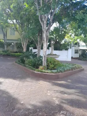 a statue of a lion sitting next to a tree at Prins Albert 6 in Pretoria