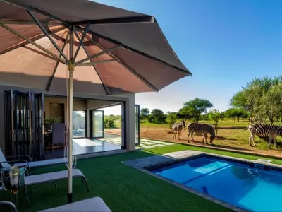 a house with a pool and zebras in the background at Tenkudu Bush Lodge in Hammanskraal