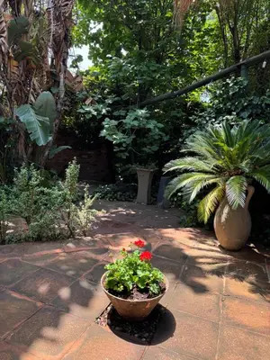 a garden with flowers in a pot on a patio at Atterbury Value Bed and Breakfast Garsfontein in Pretoria