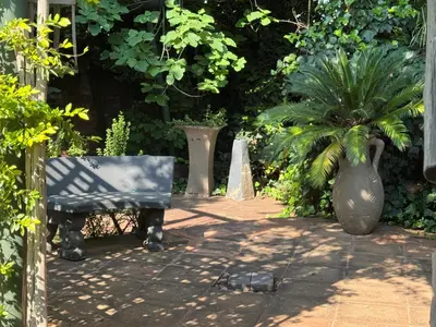a bench and a potted plant in a garden at Atterbury Value Bed and Breakfast Garsfontein in Pretoria
