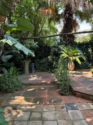 a garden with a stone walkway with a palm tree at Atterbury Value Bed and Breakfast Garsfontein in Pretoria