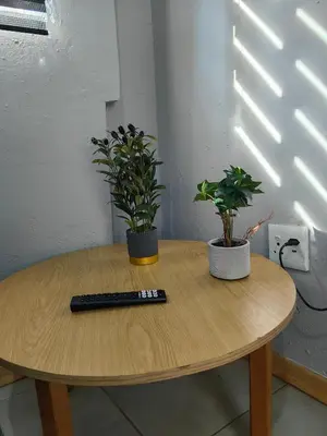 a table with two plants and a remote control on it at Calm Corner in Pretoria
