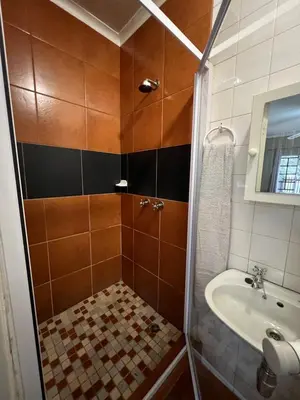 a small bathroom with a shower and a sink at ForgetMeNot Guesthouse Lydenburg in Lydenburg