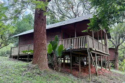 a wooden cabin with a tree in front of it at Elephant 1 Chalet Hippo Waterfront Lodge in Nelspruit