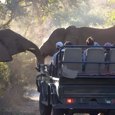 Karongwe - Chisomo Safari Camp