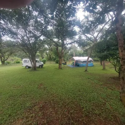 a tent and a van in a field with trees at Sak n pak Kamp in Barberton