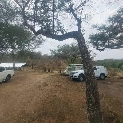 two cars parked in a field next to a tree at Sak n pak Kamp in Barberton