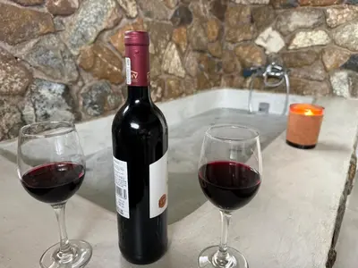 a bottle of red wine next to two wine glasses at Elephant Rest in Marloth Park