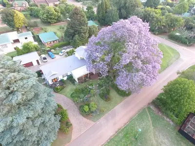 an aerial view of a house with a tree with purple flowers at Art Gallery Guest House in Haenertsburg