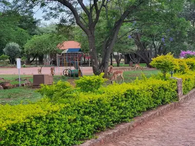 a group of deer grazing in a park at Villa Rosa Guest Farm in Eersbewoond