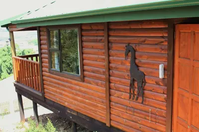 a building with a giraffe painted on the side of it at Lerato Bush Lodge in Pretoria