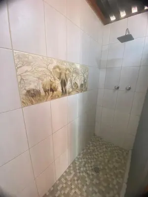 a bathroom with a shower with animals on the wall at Vlakvark Tented Camp in Bela-Bela