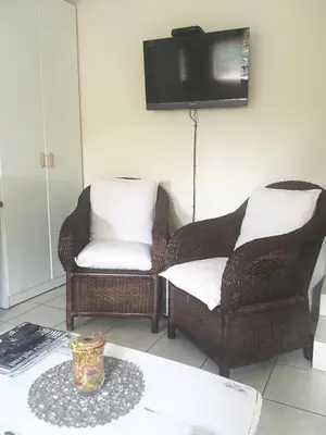 a living room with two chairs and a tv at The Willow Studio in Pretoria