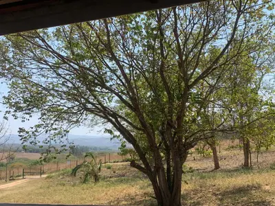 a tree in the middle of a field at Green Door Cottage
