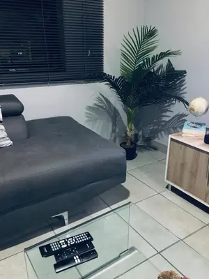a living room with a couch and a potted plant at Wotela in Chartwell