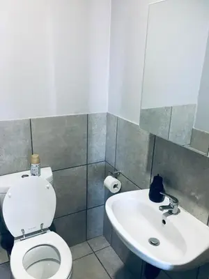 a bathroom with a toilet and a sink at Wotela in Chartwell