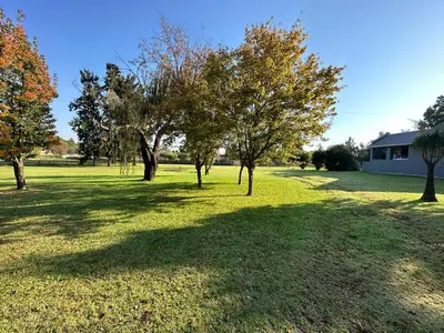 a group of trees in a field with a house at Austin Manor in Midrand